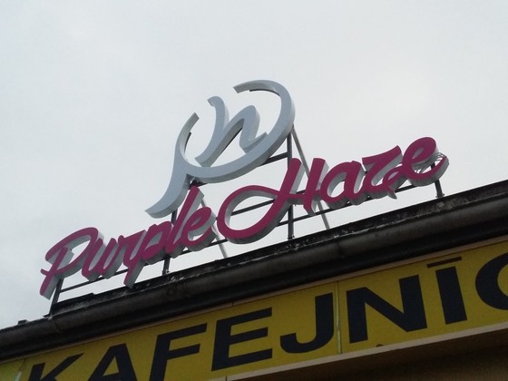 Purple Hare burti uz jumta