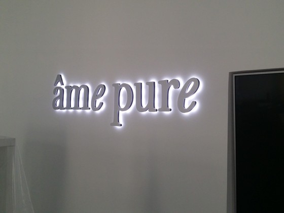 Ame Pure LED logo (6)