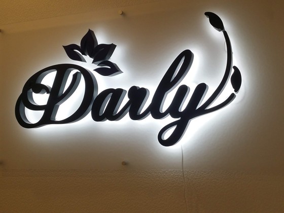 Darly LED logo CerosLV (4)