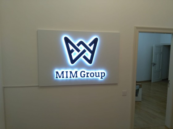 MIM group LED logo