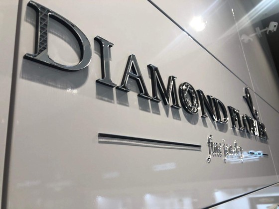 DaimondFlower divslaņu burti (3)